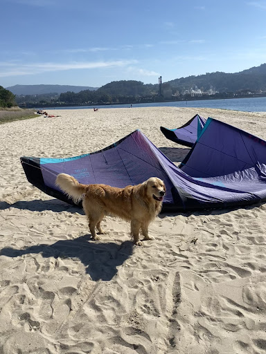 Photo from customer review